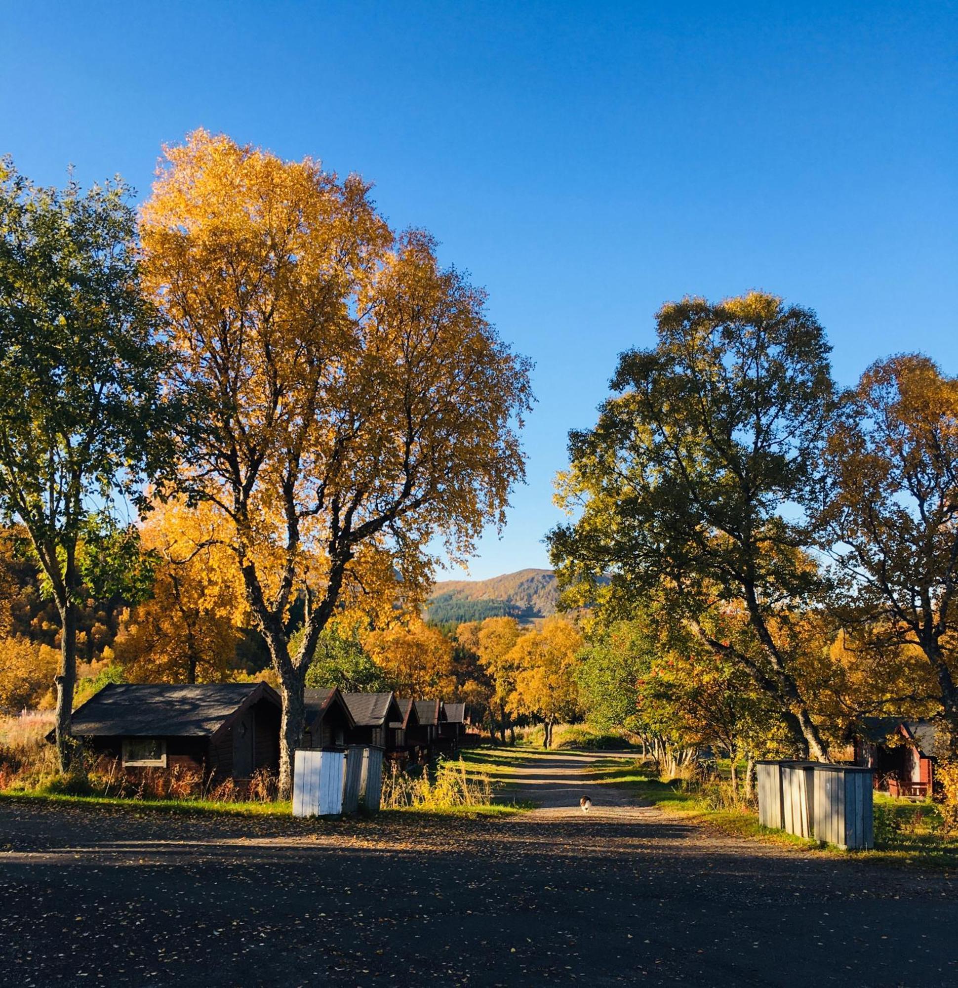 Sortland Camping Og Motell As Buitenkant foto