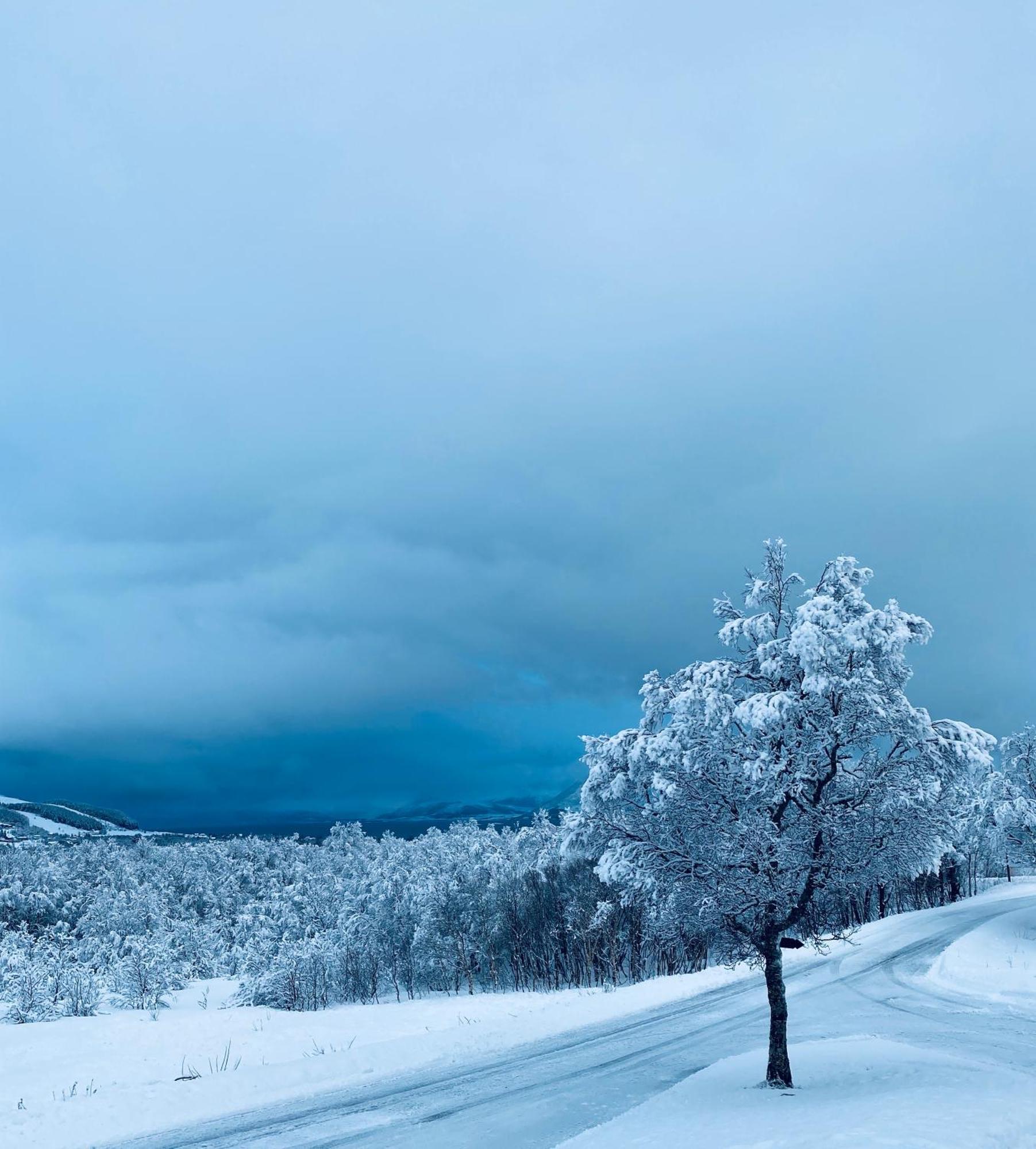 Sortland Camping Og Motell As Buitenkant foto