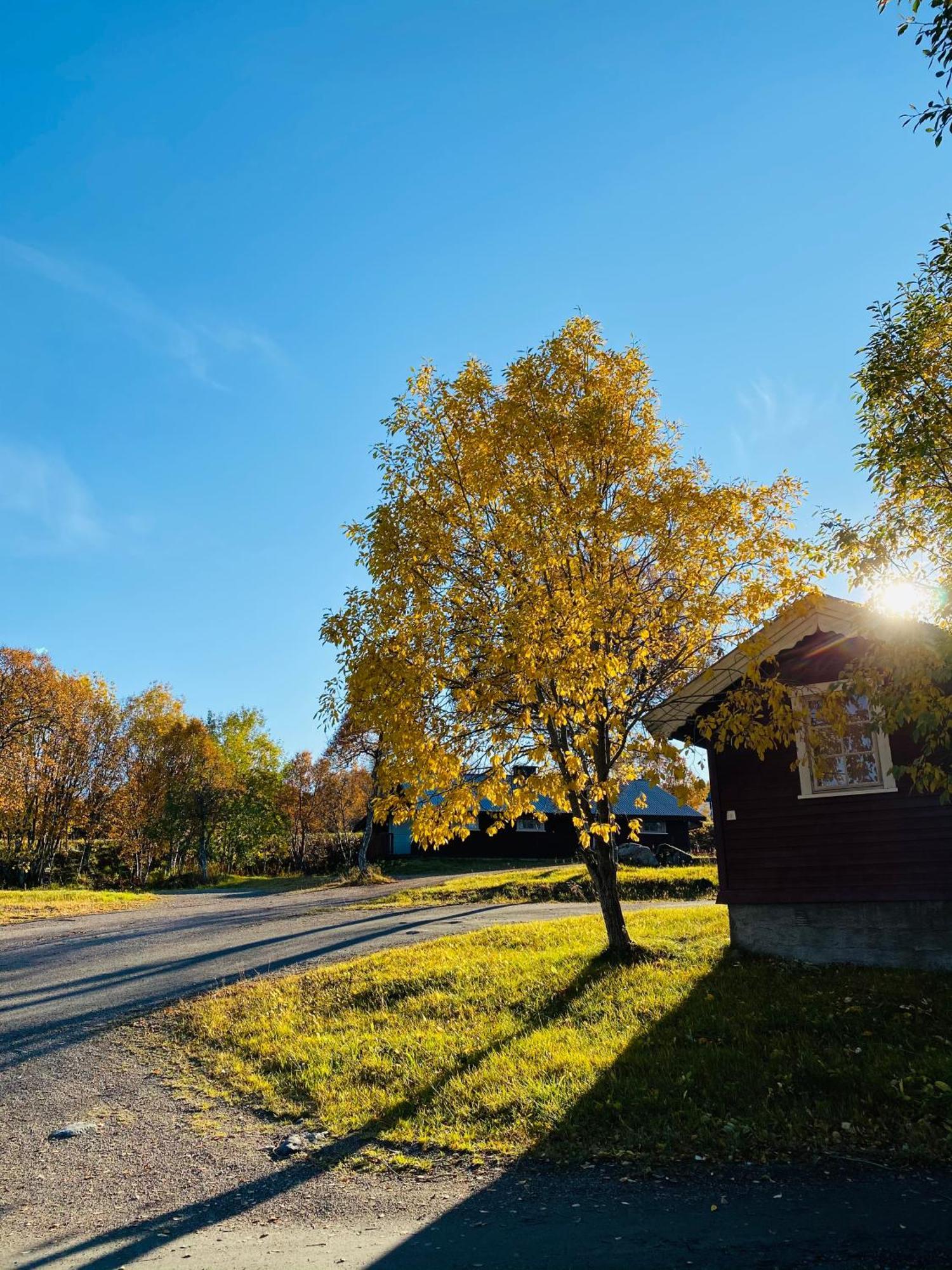 Sortland Camping Og Motell As Buitenkant foto
