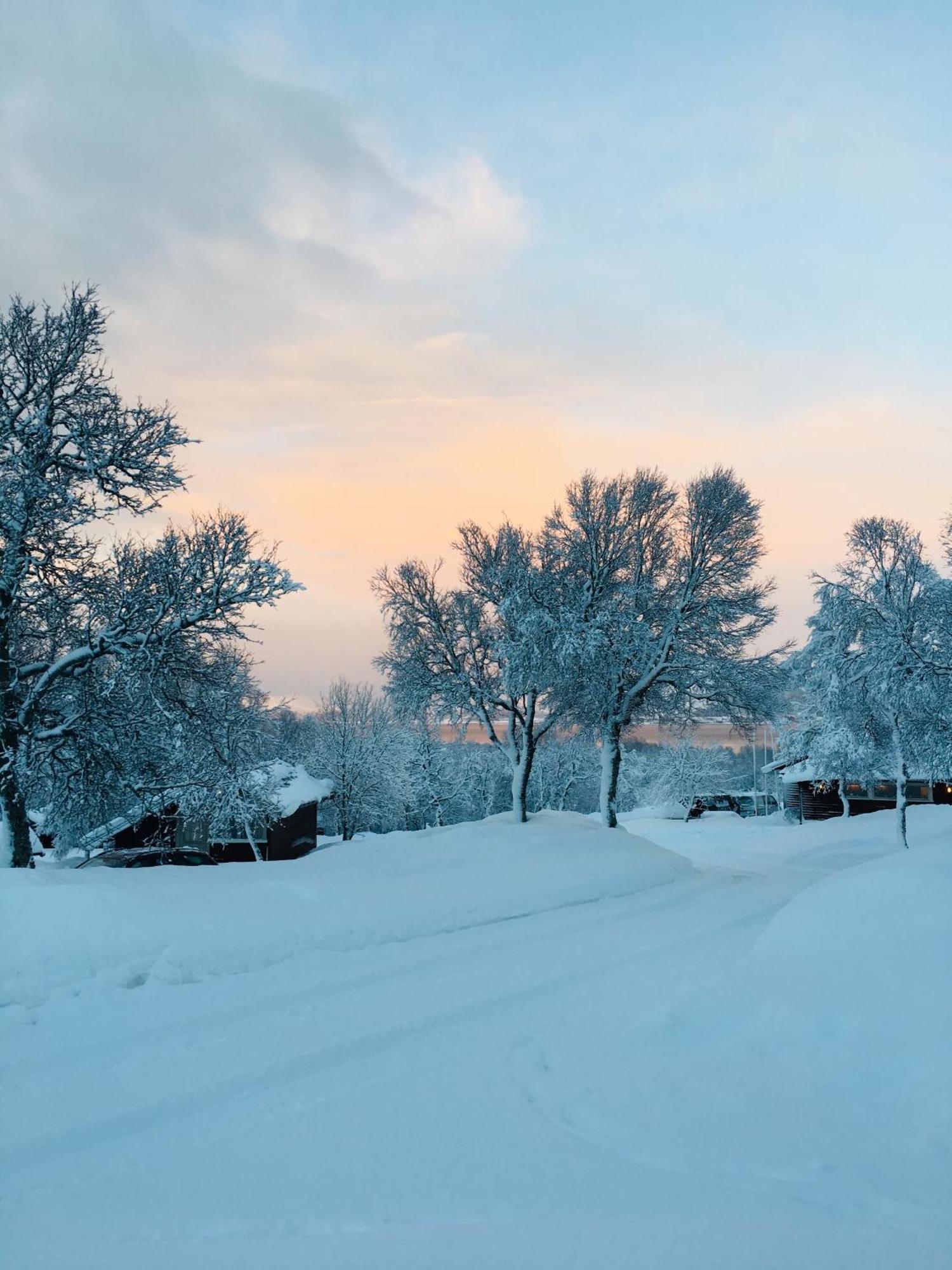 Sortland Camping Og Motell As Buitenkant foto
