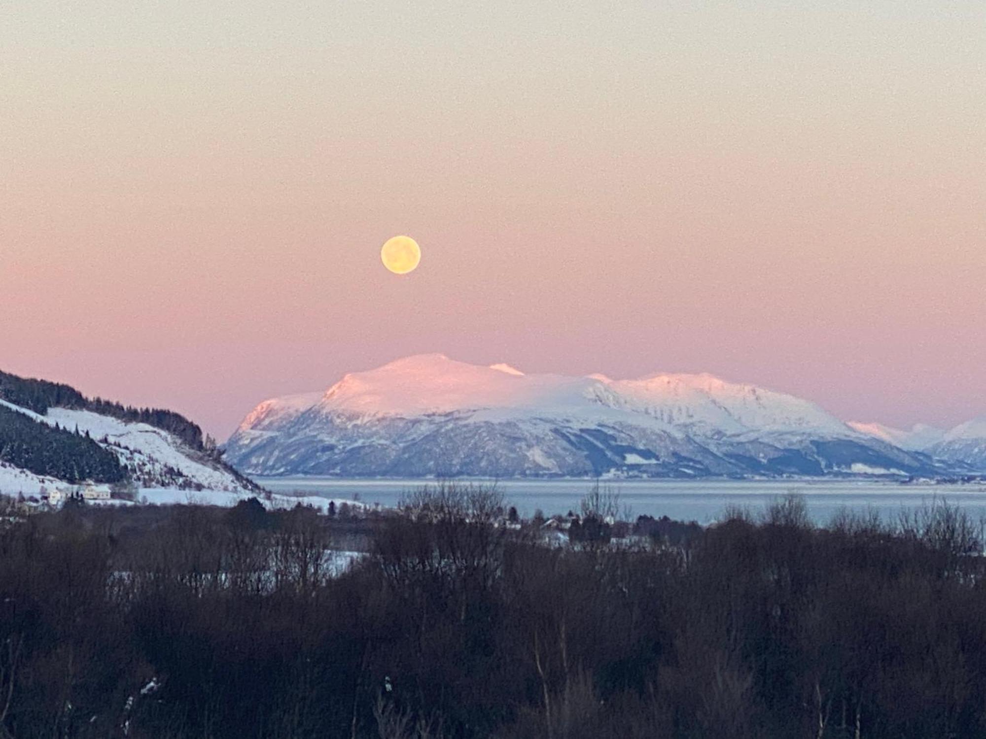 Sortland Camping Og Motell As Buitenkant foto