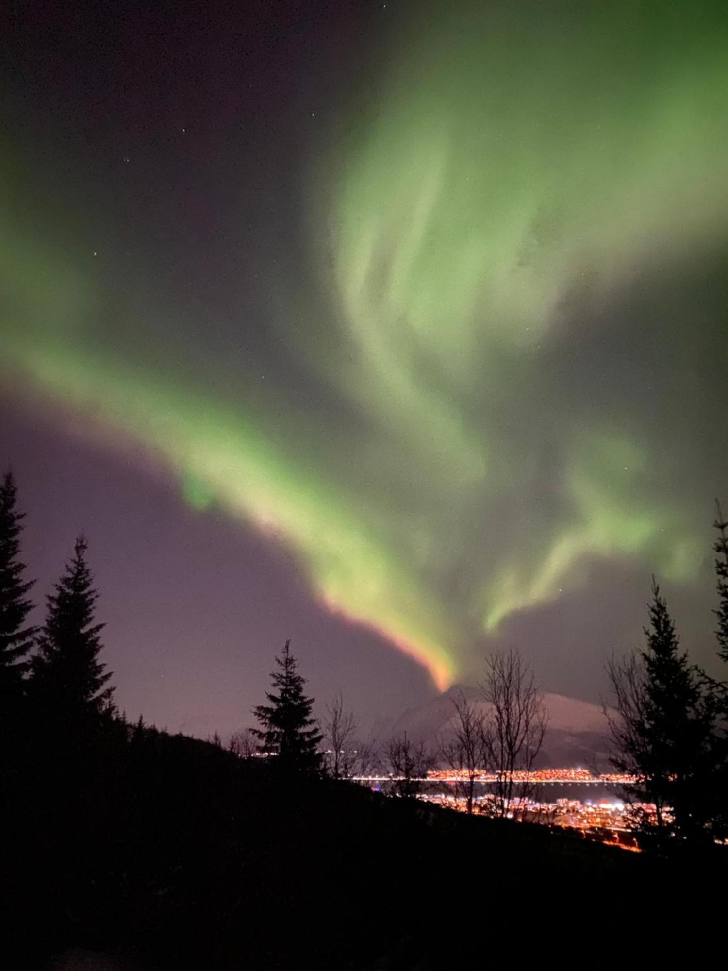 Sortland Camping Og Motell As Buitenkant foto